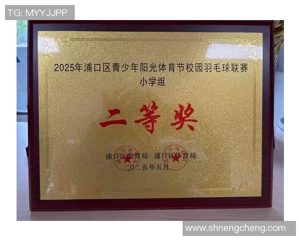 羽毛球意识排行榜揭晓上海羽毛球队荣获第二名的背后故事